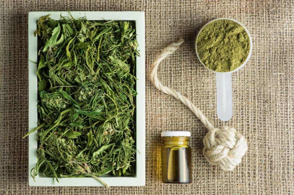 chanvre bio alimentation infusion thé chanvre bio alimentation infusion thé
