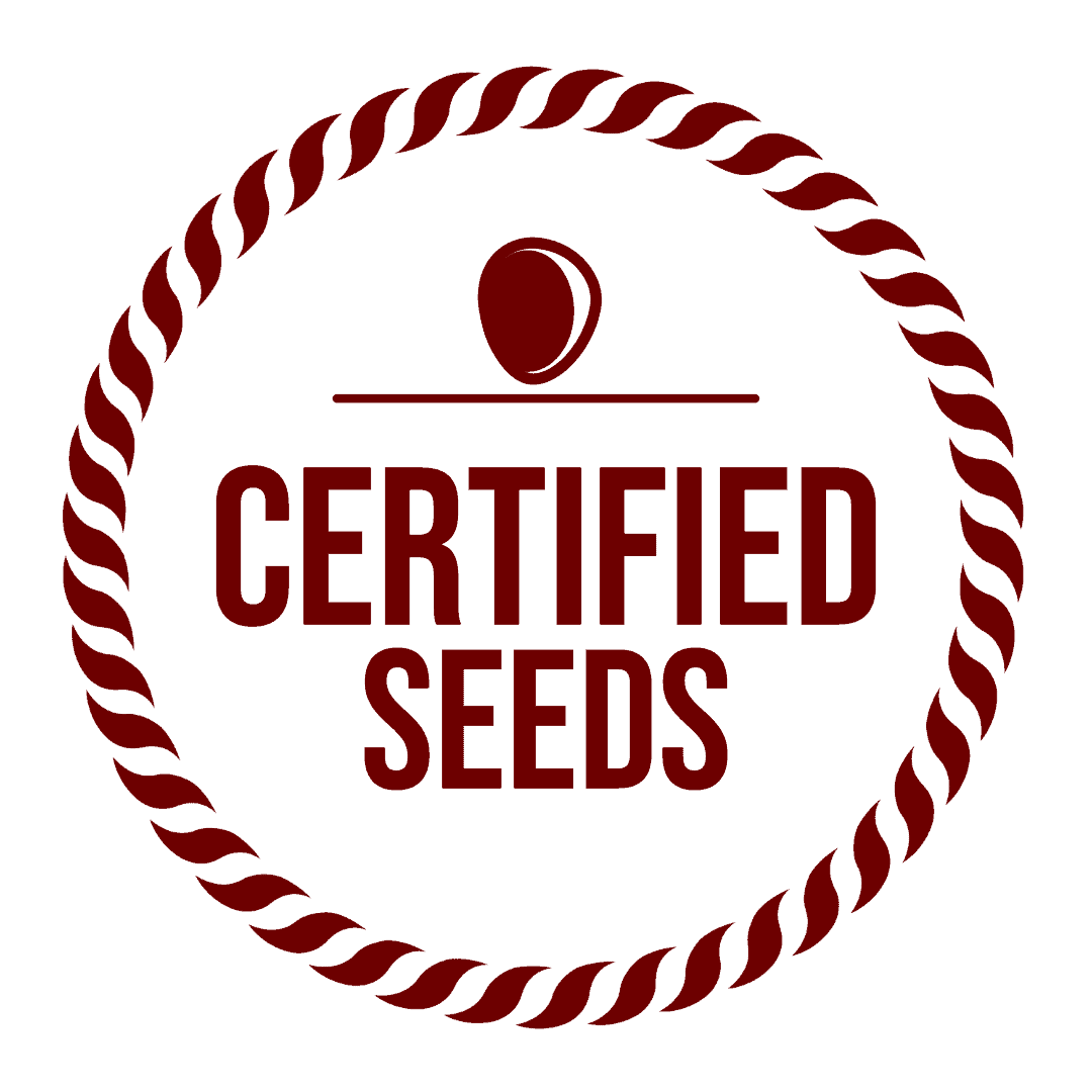 certified-seeds-fleurscbd-chanvre-cannabidiol-french-hemp-factory-2020 certified-seeds-fleurscbd-chanvre-cannabidiol-french-hemp-factory-2020