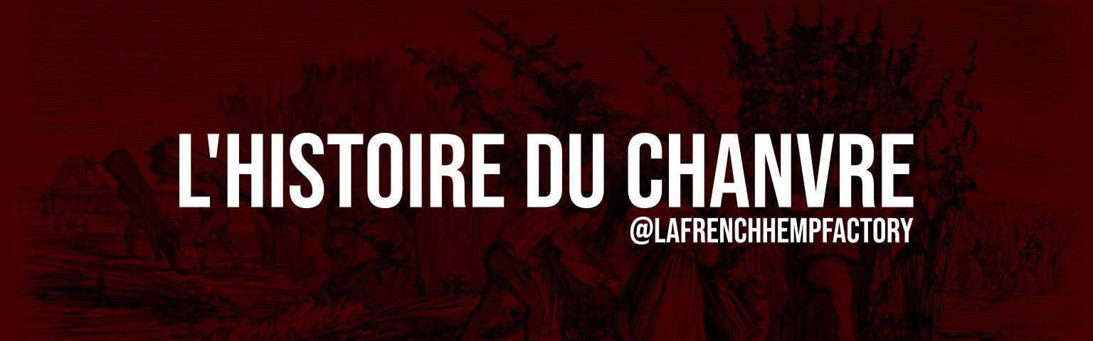 histoire-du-chanvre-lafrench-2021 histoire-du-chanvre-lafrench-2021
