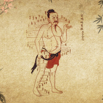 cannabis-chine-utilisation-medicinale-fhf-2019 cannabis-chine-utilisation-medicinale-fhf-2019